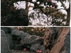 -沧浪亭
