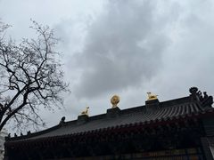 -护国法轮寺