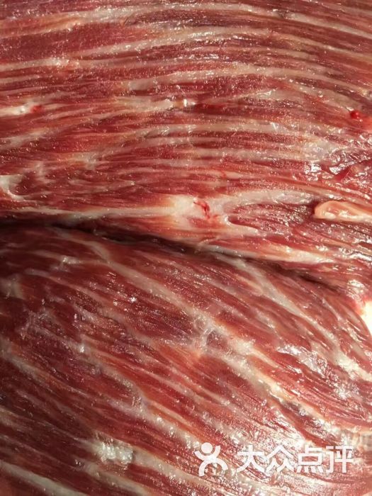 亮记牛肉匙柄图片 - 第45张