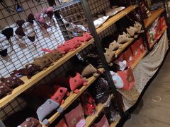 -猫咪博物馆(顶澳仔猫街店)