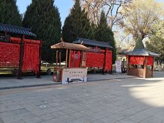 -张掖大佛寺景区