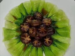 -天鹅到家·保姆月嫂育儿嫂(江渝店)