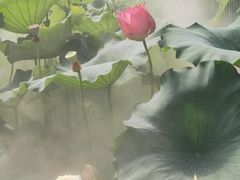 -黄兴公园
