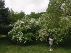 -长春公园(普阳街道)