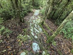 -云南屏边大围山国家公园