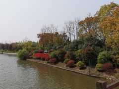 -上海海湾国家森林公园