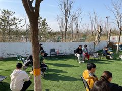 -爪吧宠物乐园·宠物泳池(温榆河示范区店)
