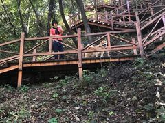 -大岭沟猕猴桃谷风景区