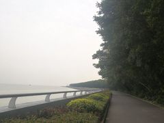 -大湾区中央湿地公园