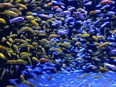 -成都浩海立方海洋公园