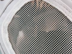 -宠福鑫康馨动物医院·骨科·眼科