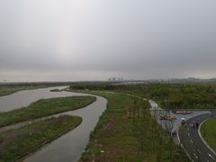 -春花秋色城市公园