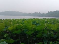 -西湖游船