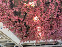 -小桃红·东北菜·春饼烤鸭(南阳湖街店)