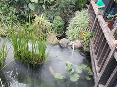 -凤凰山斑鱼馆(恭城店)