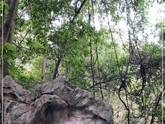 -杭州西湖风景名胜区-三生石