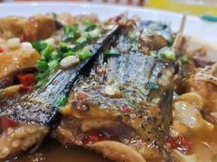 -全乐鱼馆·淳牌有机鱼直营店