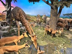 -国家自然博物馆