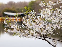 -共青国家森林公园-售票处