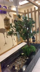 -芳朵美容养生SPA