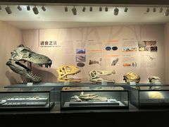 -自贡恐龙博物馆