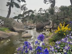 -罗红摄影艺术馆