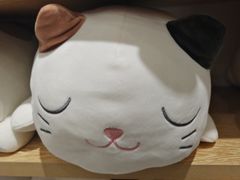 -大连凯丹广场