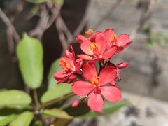 -李叔同故居纪念馆