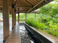 -济州森林小火车生态公园
