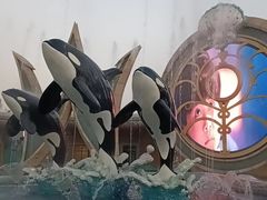 -上海海昌海洋公园