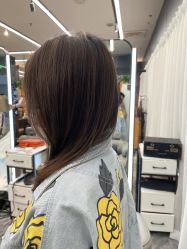 -藤野造型