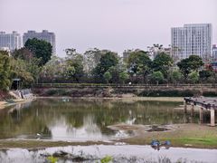 -芦仙山景区-飞越丛林探险乐园