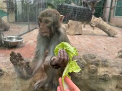 -水上乐园·欢乐世界