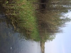 溱湖国家湿地公园-溱湖国家湿地公园