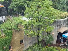 -三鹰之森吉卜力美术馆