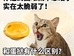 -必胜客(五道口店)