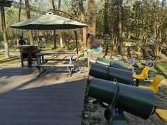 -合肥滨湖国家森林公园