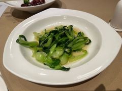 -圆苑(金茂店)