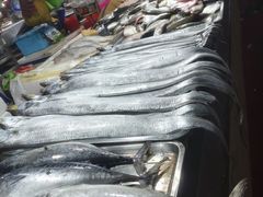 -三亚新鸿港水果一级批发市场