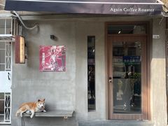 -Again Coffee Roaster(香蜜湖店)