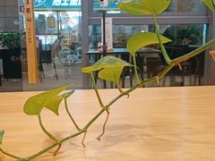 -霸王茶姬(泛海广场店)