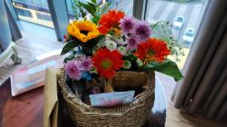 -恒熙玥月子会所