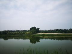 -东郊湿地公园