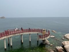 -养马岛旅游度假区