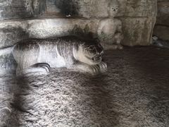 -腊山国家森林公园