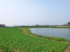 -径山花海