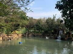 -八大山人梅湖景区