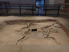 -洛阳周王城天子驾六博物馆