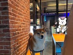 -本色.小马哥烧烤(五一路总店)