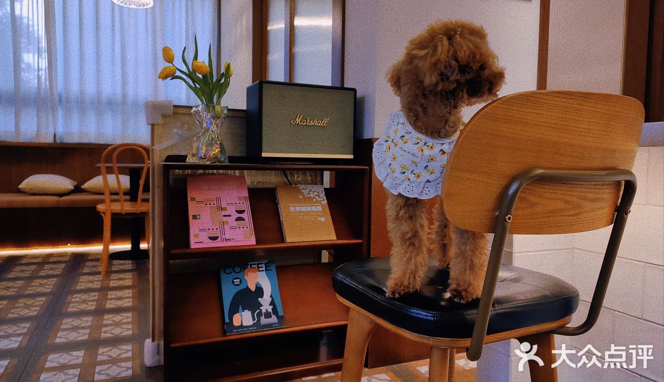 ☕吾悦周边‖这家咖啡店能让人内心瞬间柔软哎